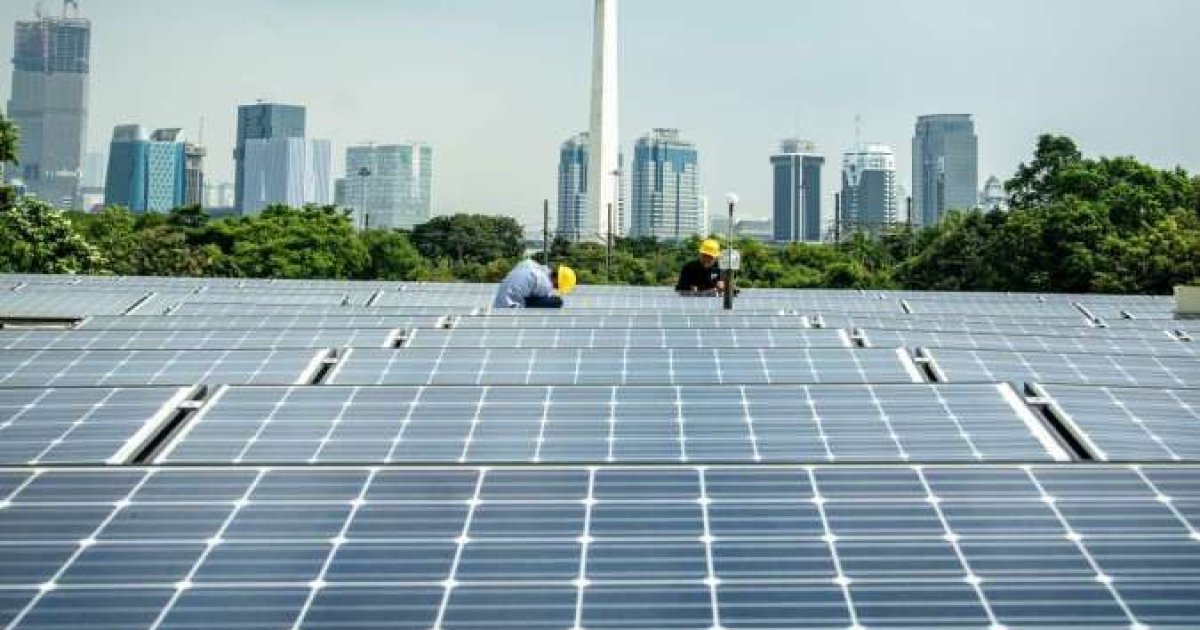 Pangsa Pasar Panel Surya Domestik Masih Terkikis, APAMSI Desak Pemerintah Perkuat Kebijakan Pendukung