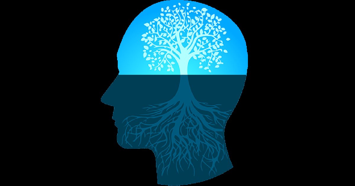 Revolusi Finansial Dimulai dari Pikiran: Menggali Kekuatan *Growth Mindset* untuk Mengelola Uang