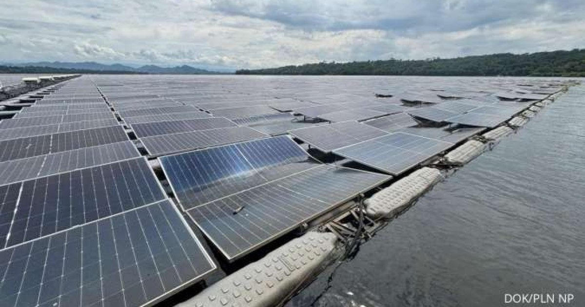 Ekspansi Energi Terbarukan: PLN Indonesia Power Jajaki Potensi PLTS 495 MW di Bangladesh