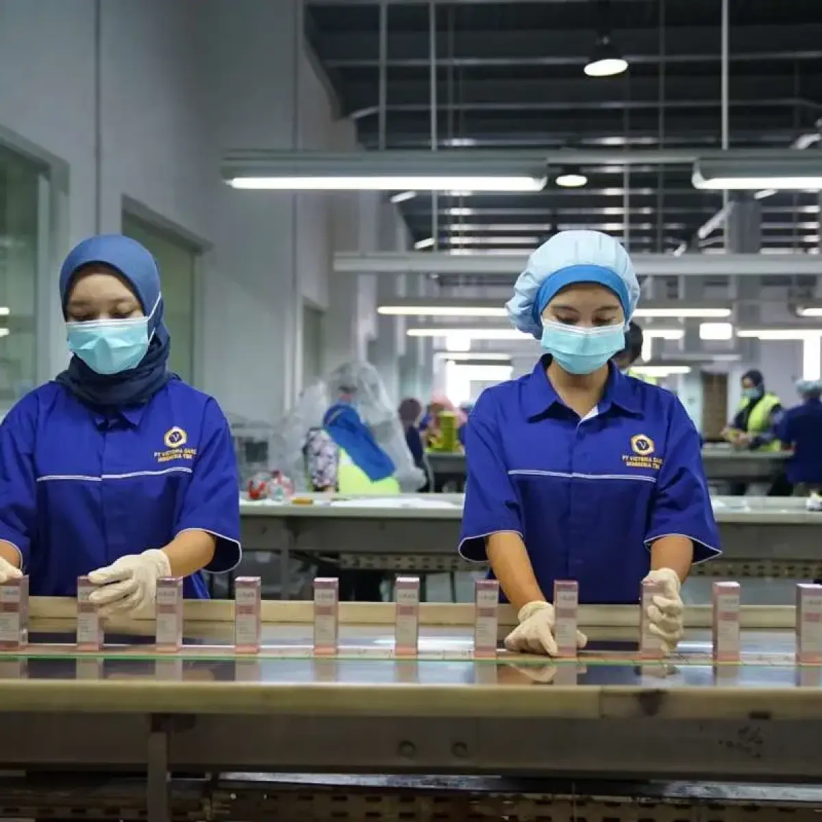 Victoria Care Indonesia (VICI) Mulai Evaluasi Ulang Proyeksi Kinerja Hingga Tahun 2026 di Tengah Dinamika Pasar