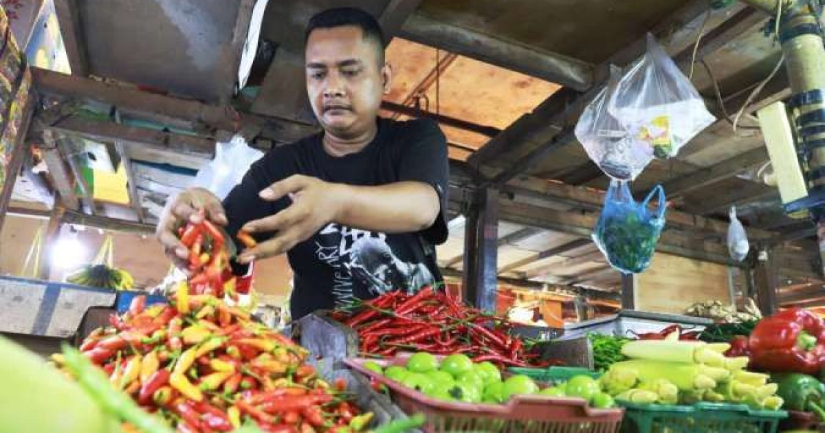 Harga Cabai Rawit Kembali Stabil Pasca-Lebaran, Bapanas Konfirmasi Penurunan Signifikan