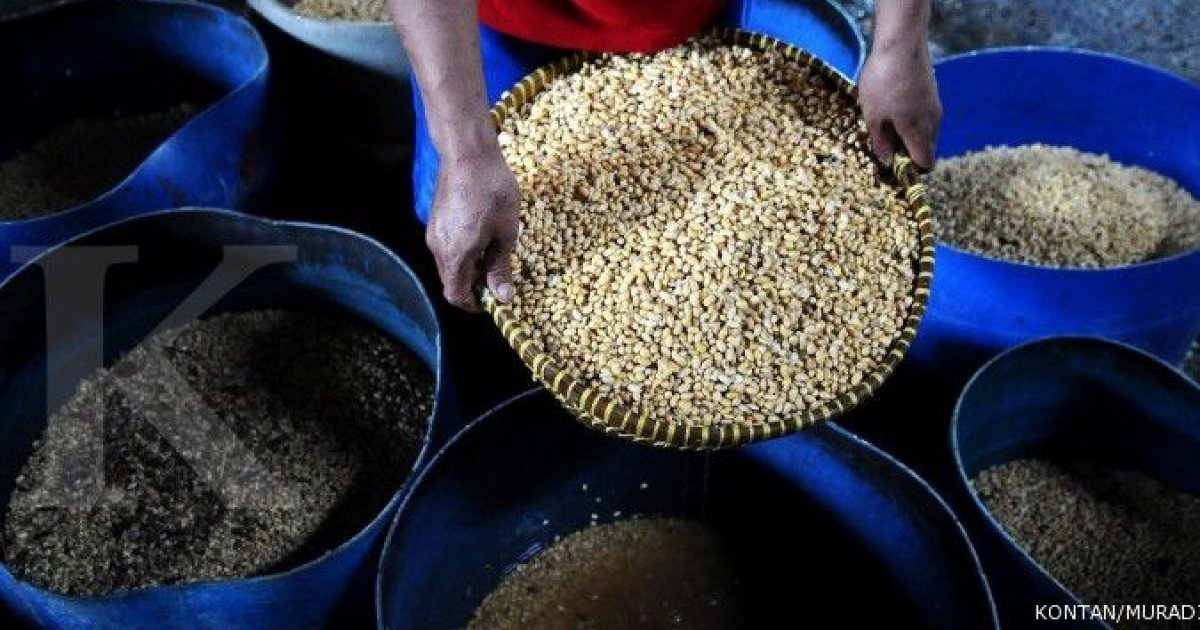 Terkoreksi ke Titik Terendah, Importir Kedelai Janjikan Stabilitas Harga di Tengah Tekanan Rupiah