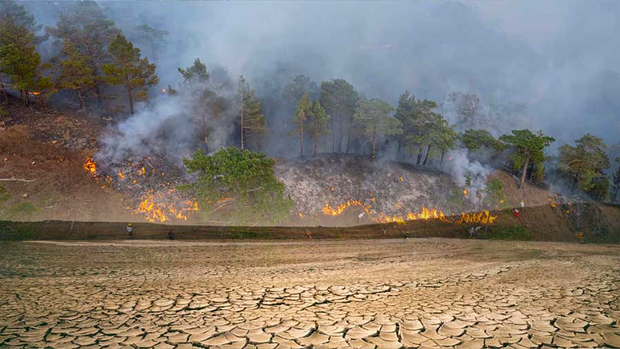 El Niño Berpotensi Picu Kenaikan Suhu Global Hingga 2°C, Catatan Sejarah Baru Terancam