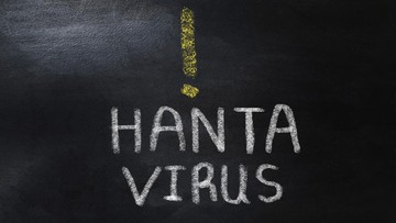 Ancaman Virus Tikus Global: Kasus Fatal Hantavirus di Kapal Pesiar Soroti Kerentanan Transportasi Laut