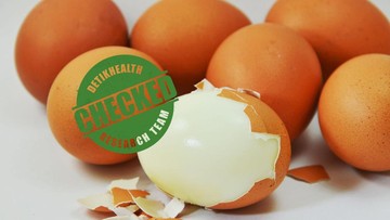 Rahasia Protein Harian: Mengapa Telur Rebus Jadi Pilihan Utama Diet Sehat Masyarakat Urban