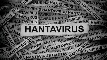 Prioritas Vaksinasi Anak: IDAI Ajak Masyarakat Fokus Tangkal Difteri dan Campak, Bukan Kepanikan Hantavirus