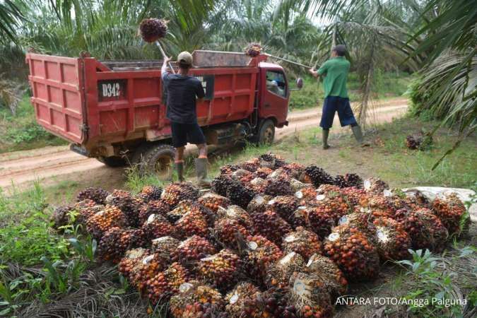 Analisis Gapki Terkait Dampak Pelemahan Nilai Tukar Rupiah Terhadap Industri Sawit