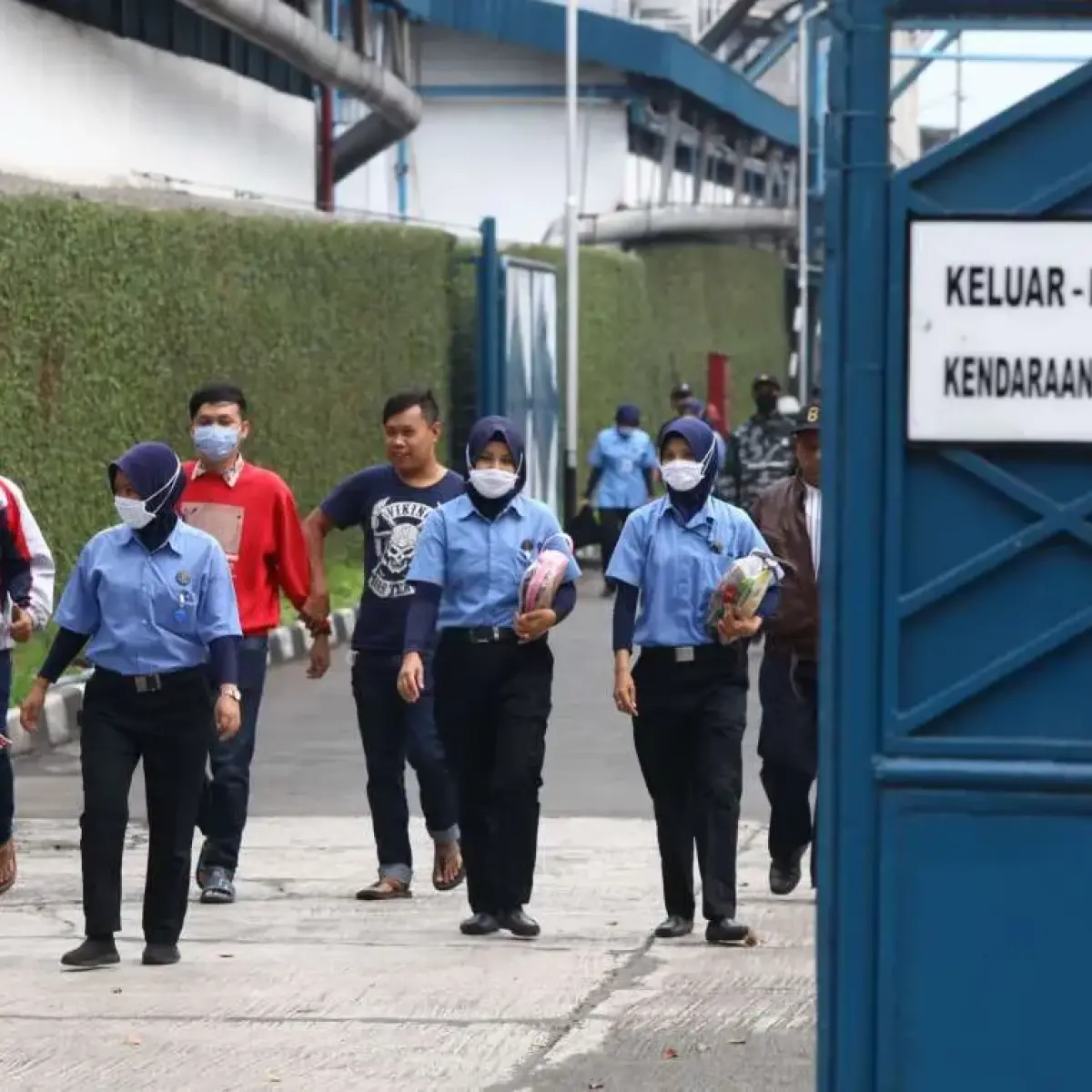 Apindo Mendesak RUU Ketenagakerjaan Atasi Krisis Struktural Industri, Bukan Sekadar Revisi Regulasi