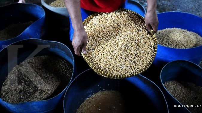 Terkoreksi ke Titik Terendah, Importir Kedelai Janjikan Stabilitas Harga di Tengah Tekanan Rupiah