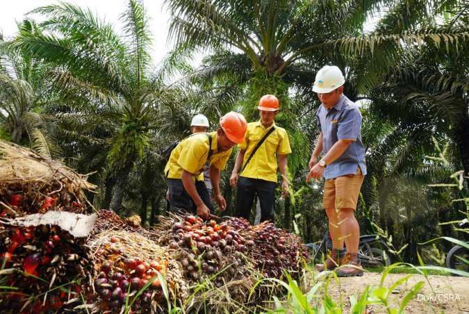 Prospek Cerah Industri Sawit Indonesia: Strategi Konservatif dan Inovasi Pendapatan Jadi Kunci CSRA Hadapi Tekanan Biaya