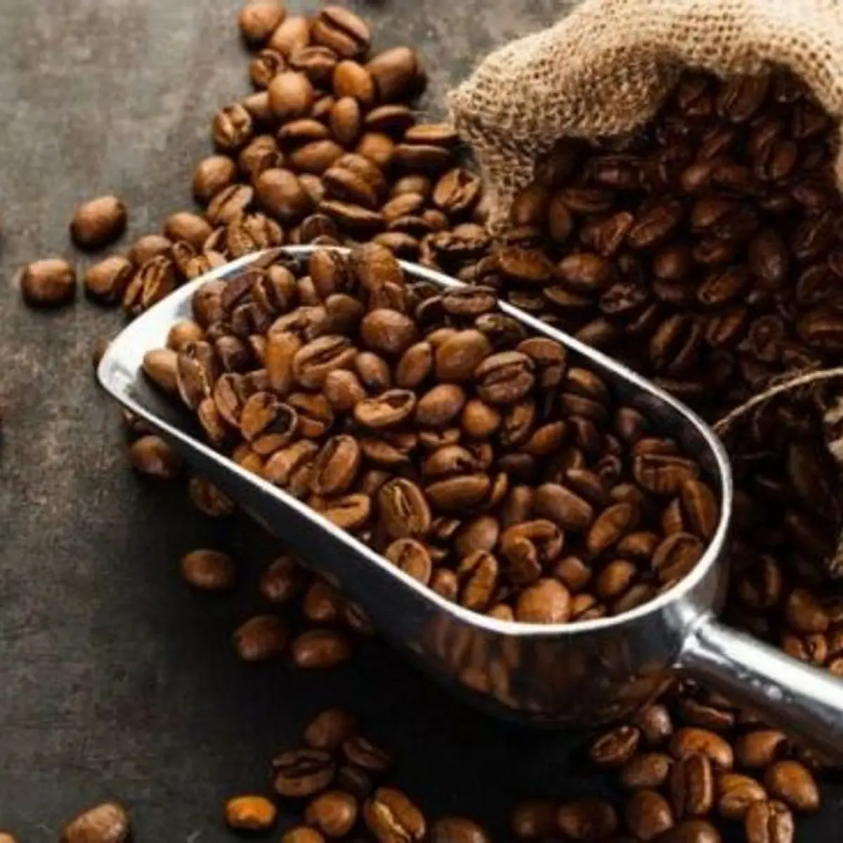 Jejak 91 Tahun Kopi Luwak Premium: Worcas Rayakan Tonggak Sejarah dengan Gala Dinner Eksklusif