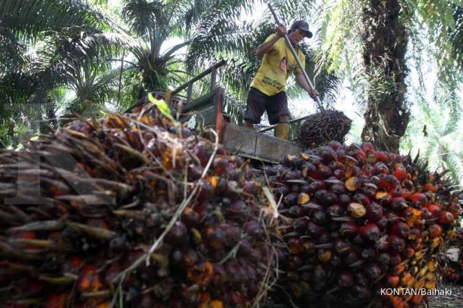 Menilik Realitas Indonesia Menggenggam Kendali Harga Minyak Sawit Global: Tantangan di Tengah Dinamika Pasar Dunia