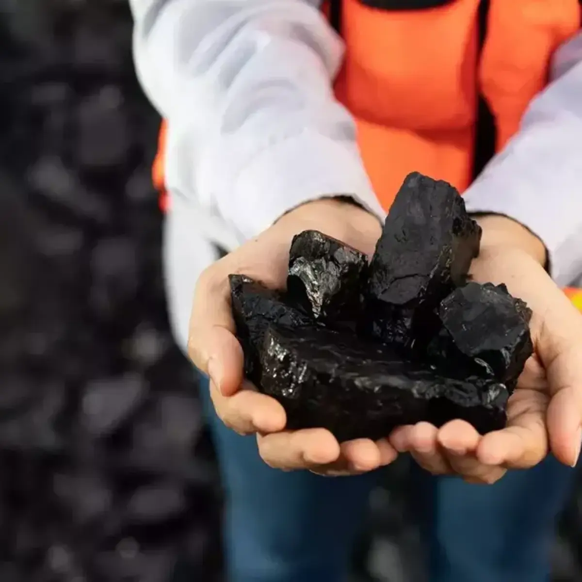 Harga Batu Bara Kontrak Berjangka Tertekan Pelemahan Gas Alam dan Normalisasi Pasokan Energi Global