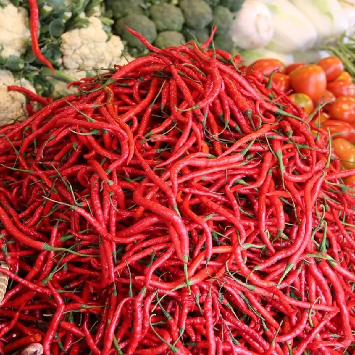 Harga Cabai Rawit Merah Lampaui Rp83 Ribu, Analisis Fluktuasi Harga Pangan Strategis 29 Mei 2026