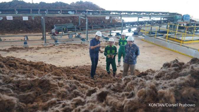 Energi Terbarukan Terabaikan: Mengapa Potensi Biomassa Raksasa Indonesia Belum Jadi Agenda Utama Pemerintah?