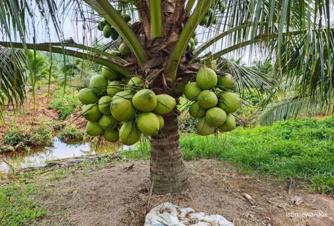 Pemerintah Suntikkan Bibit Unggul dan Bibit Tebu Massif untuk Akselerasi Produktivitas Perkebunan Nasional
