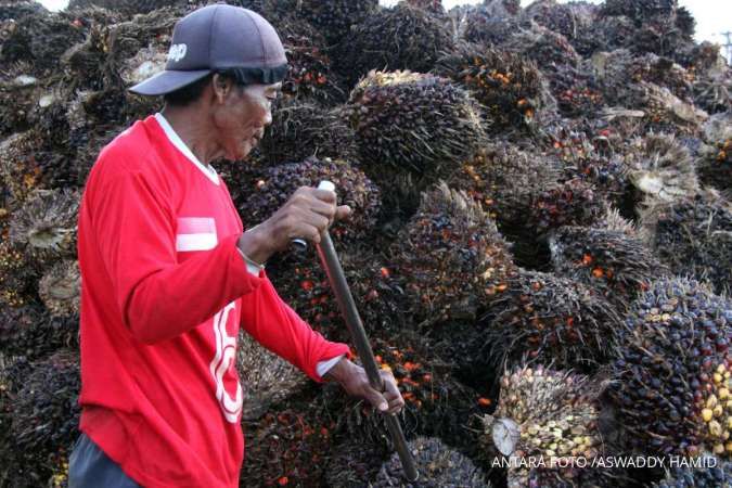 Kepastian Dana Sawit: BPDP Tegaskan Pungutan Ekspor CPO Tetap Berlaku Meski Ada Mekanisme DSI