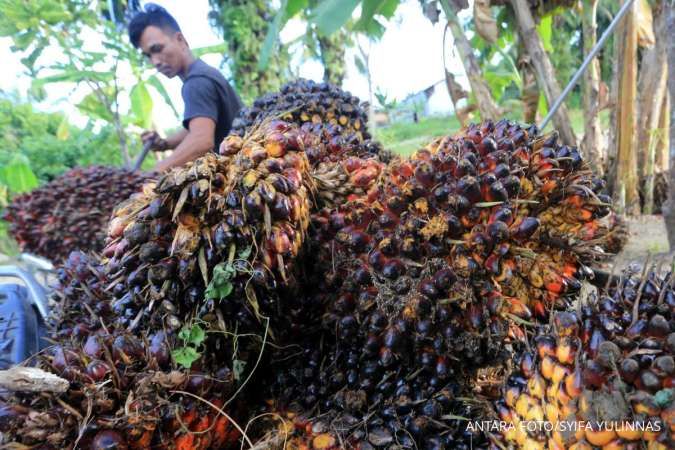 Percepatan Transformasi Digital Industri Sawit Menuju Pabrik Cerdas dan Keberlanjutan Emisi Rendah di 2026