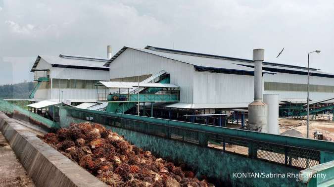 Harga Referensi CPO Terpangkas Hampir 2 Persen di Juni 2026 Akibat Pelemahan Permintaan dari India