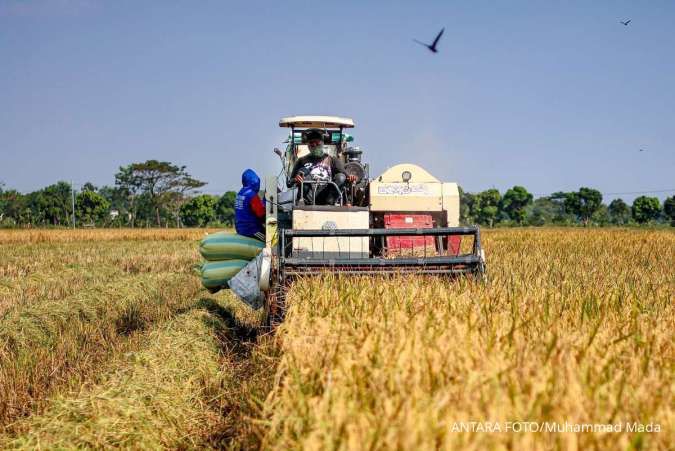 Inovasi Kimia Pertanian: Syngenta Perkenalkan Fungisida Canggih untuk Dongkrak Produktivitas Padi Nasional