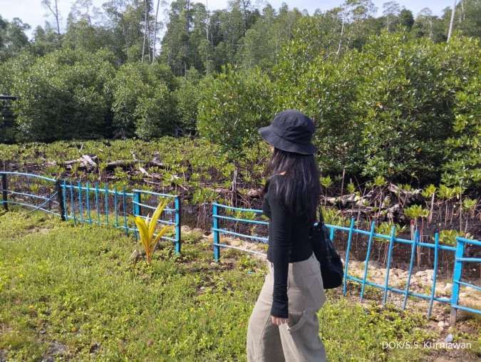 Sinergi BKPH dan PT STM Kunci Stabilitas Ekonomi dan Konservasi Hutan di Bima Dompu