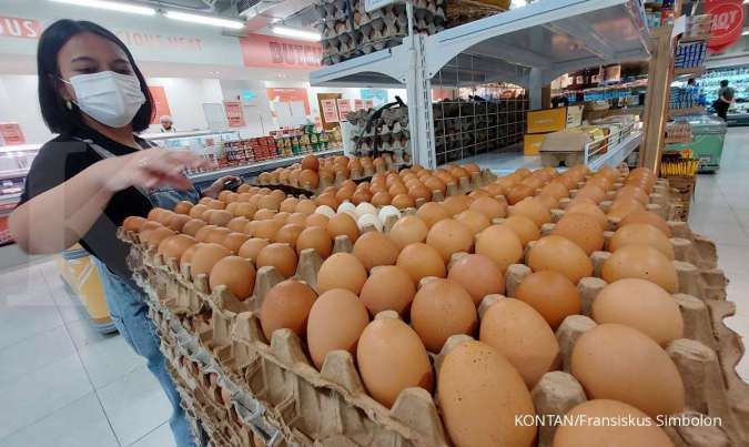 Antisipasi Harga Anjlok, Bapanas Siagakan Mekanisme Penyerapan untuk Stabilisasi Telur dan Daging Ayam Peternak
