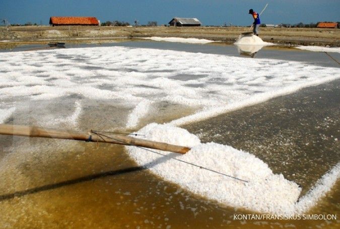 Rote Ndao Jadi Pusat Harapan: Strategi KKP Wujudkan Swasembada Garam Nasional 2027