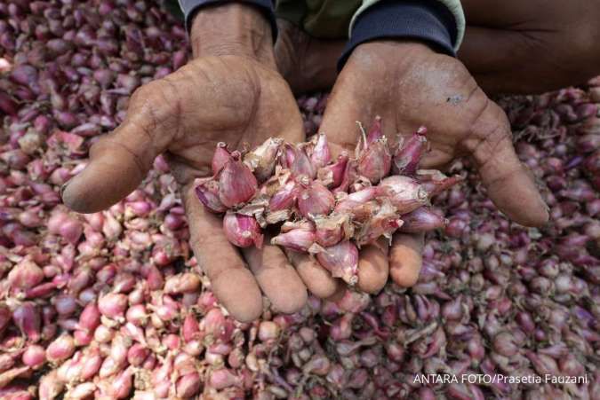 Dampak Kurs Rupiah terhadap Harga Komoditas Pangan: Perspektif Asosiasi Pedagang Bawang
