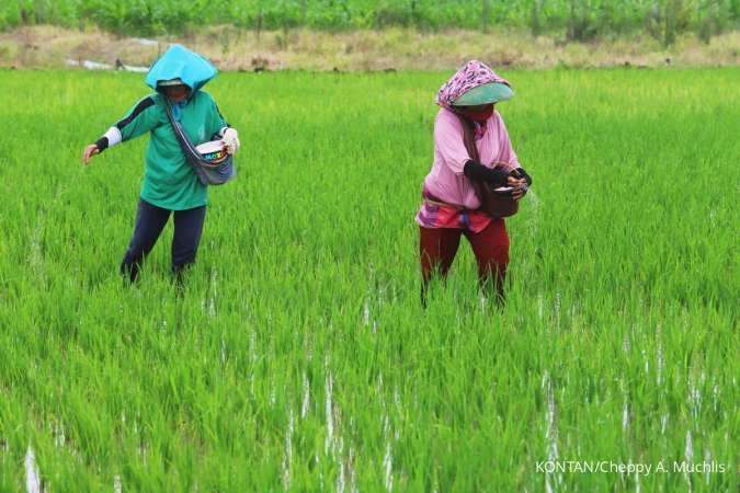 Strategi Infrastruktur Air Pemerintah Ditingkatkan Demi Mengamankan Target Produksi Pangan di Tengah Ancaman El Nino