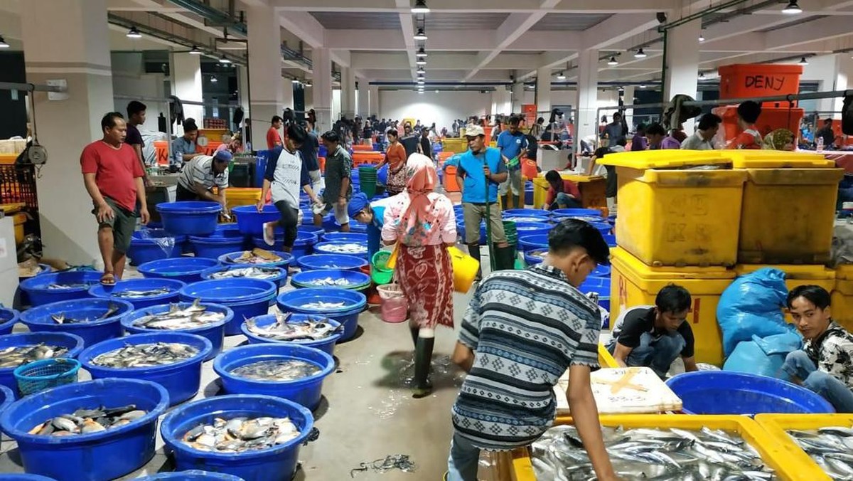 Foto: Ilustrasi stok ikan jelang Idul Fitri. (Dok. PT Perikanan Indonesia)