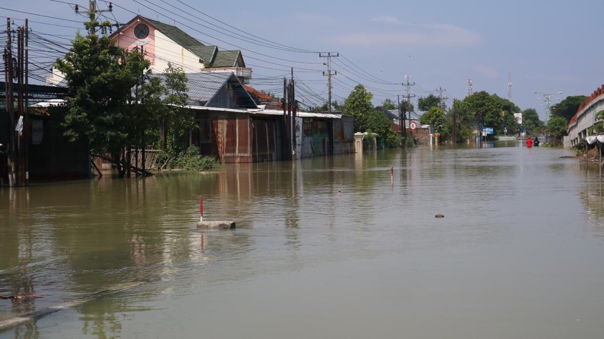 Foto: Kondisi genangan banjir di ruas jalan Karanganyar Demak, Rabu (20/3/2024). (Dok. Detikjateng/Dian Utoro Aji)