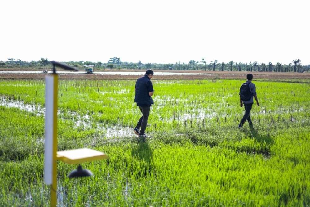 Kinerja Keuangan Badan Bank Tanah 2025: Aset Tumbuh 16%, Laba Bersih Terkoreksi