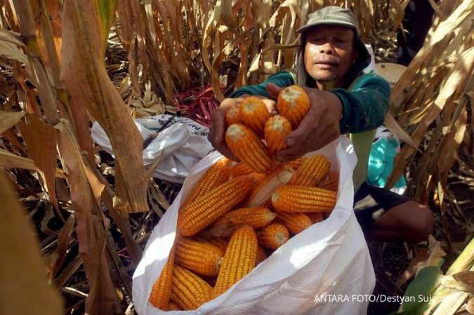 Percepatan Program E20 Diprediksi Jadi Katalisator Utama Penyerapan Hasil Pertanian Nasional