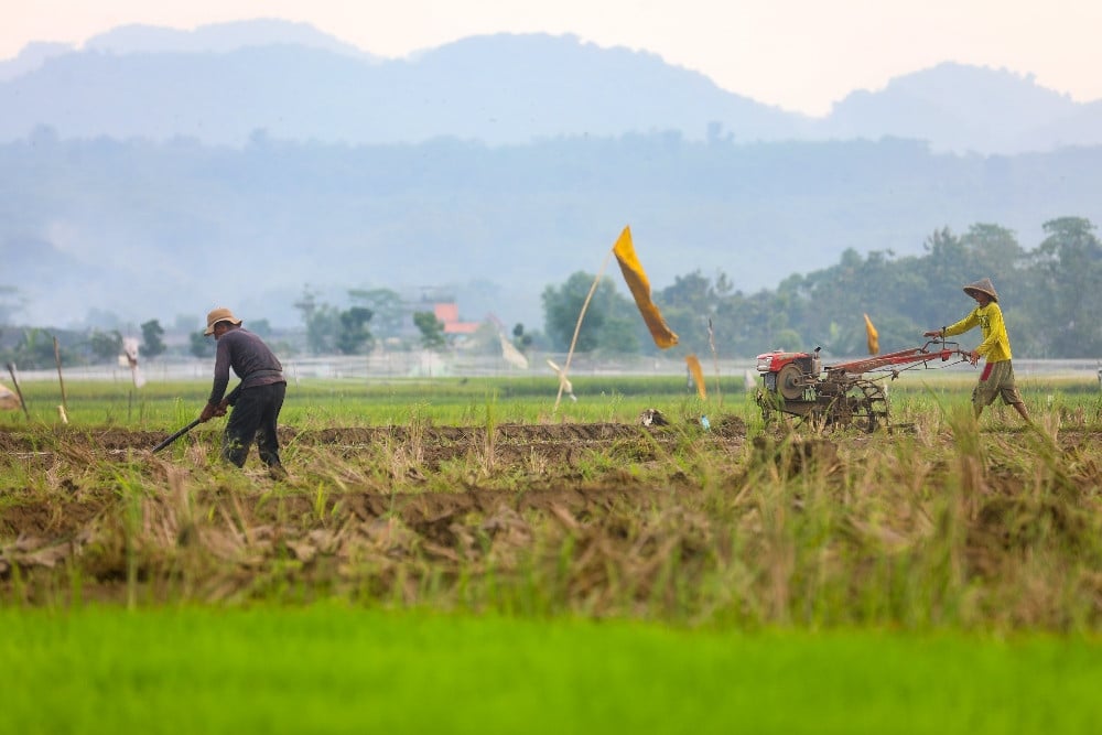 Waspada! Indonesia Termasuk Zona Merah Risiko Tinggi Kekeringan Akibat Prediksi Fase Baru El Nino