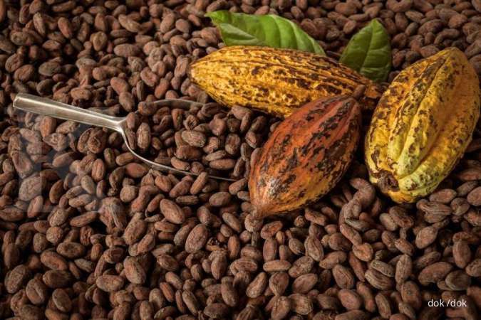 Melonjaknya Harga Patokan Ekspor Biji Kakao Indonesia di Pertengahan 2026 Akibat Krisis Pasokan Global