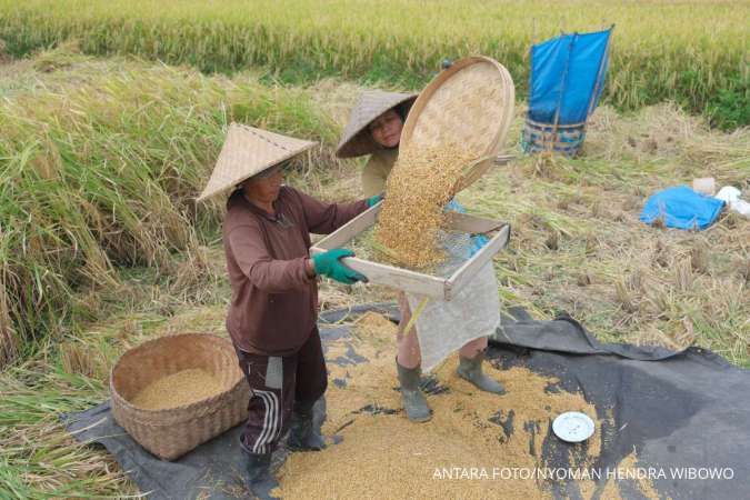 Kinerja Mei 2026: Petani Tanaman Pangan Raih NTPP Tertinggi Sejak Awal Kuartal II, Bersamaan Penyerapan Beras Bulog Capai 3,3 Juta Ton