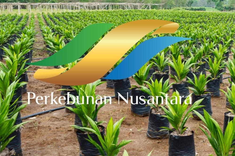 Capaian Fantastis PTPN Group: Laba Bersih Melonjak 81% Tembus Rp6,39 Triliun di Tahun Buku 2025