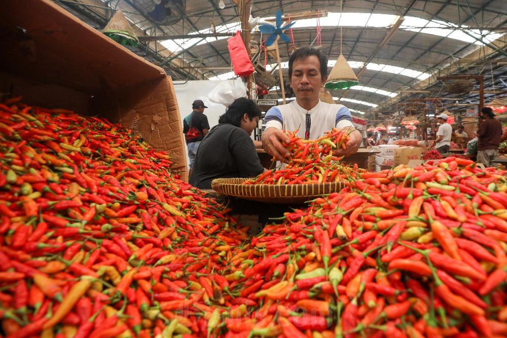 Tren Harga Pangan 6 Juli: Cabai dan Telur Kompak Melemah, Cek Detail Bahan Pokok