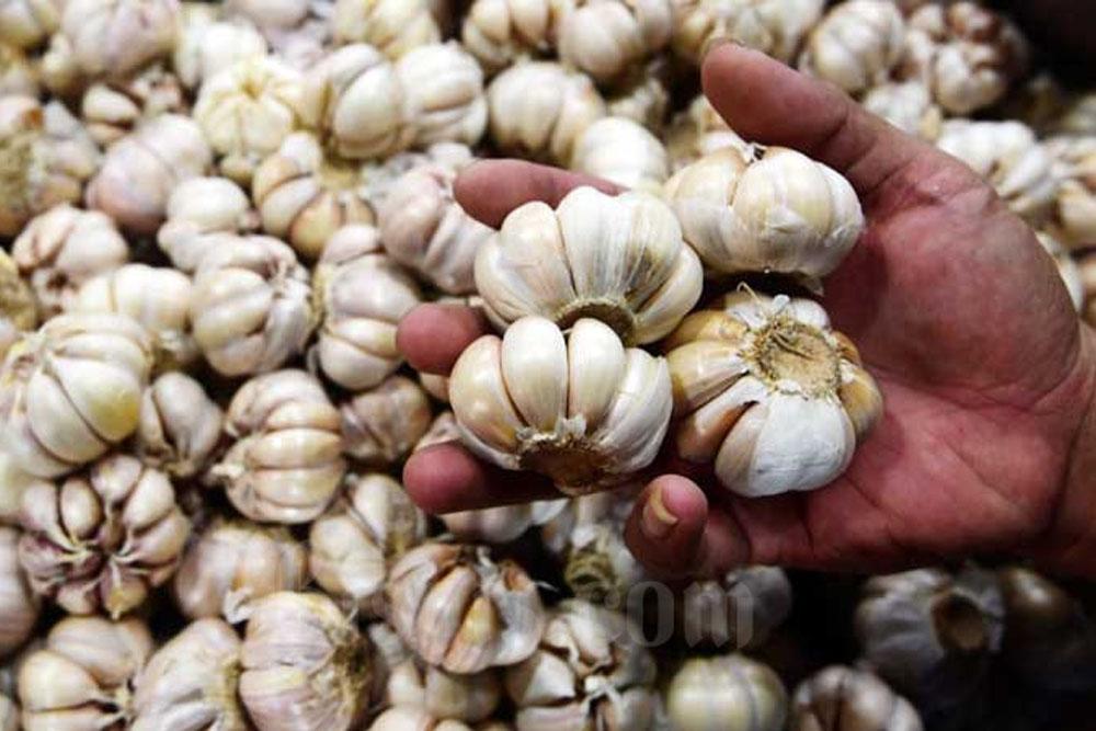 Pemerintah Percepat Alur Impor Bawang Putih Antisipasi Lonjakan Harga Akibat Kurs Dolar dan Isu Global