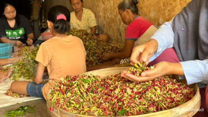 Ancaman Krisis Sosial Ekonomi: Seragam Kemasan Rokok Dinilai Langsung Mengancam Mata Pencaharian 1,5 Juta Petani Cengkeh