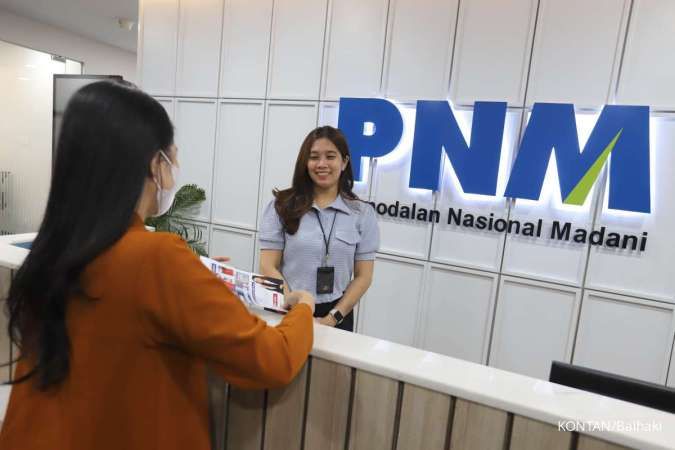 Mengapa Penggabungan PNM ke dalam Holding BUMN Asset Management Dinilai Berisiko Tinggi bagi UMKM?