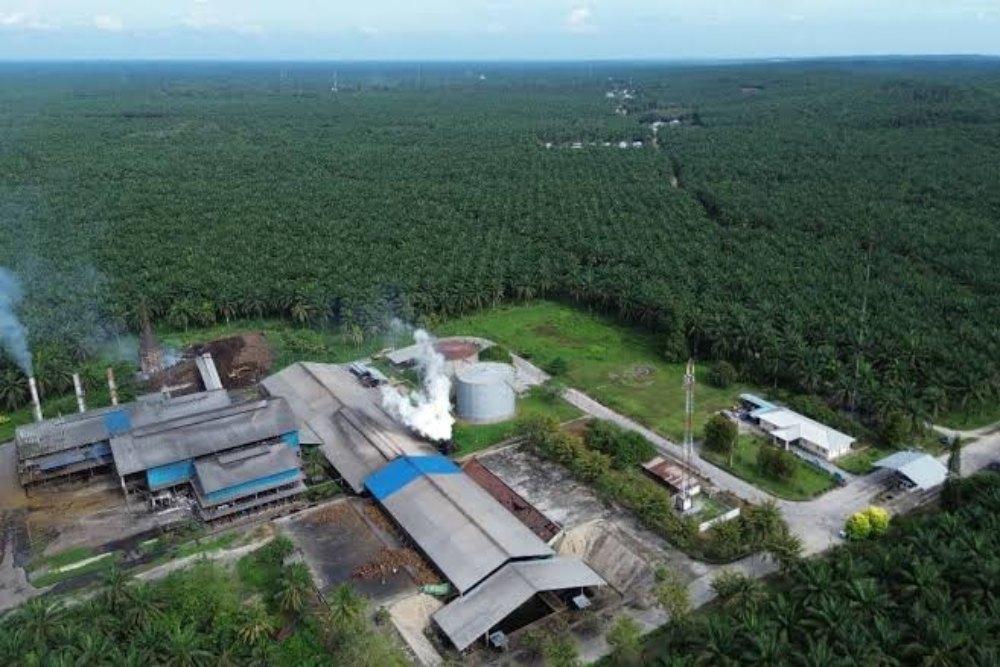 Agrinas Palma Nusantara Catat Surplus Operasional Rp2,86 Triliun, Perkuat Pengelolaan 4,11 Juta Hektare Lahan Negara