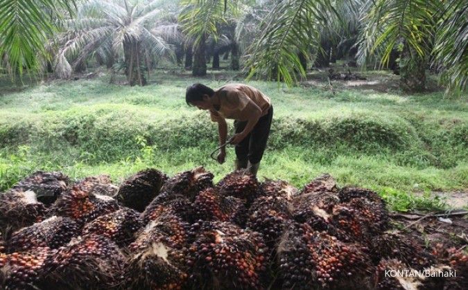 Pengusaha Sawit Indonesia Desak Pengakuan ISPO oleh Uni Eropa untuk Hadapi Aturan EUDR