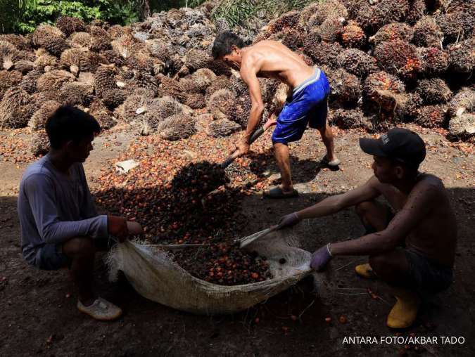 Dana Subsidi Solar Nelayan Dipastikan Siap, BPDP Alokasikan 400 Ribu KL Tanpa APBN