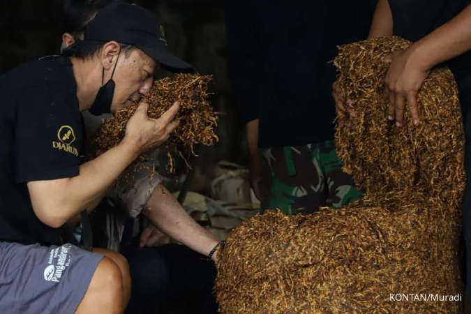 Ancaman Ganda Petani Tembakau: Wacana Kemasan Rokok Standar, APPI Soroti Kerugian Berantai