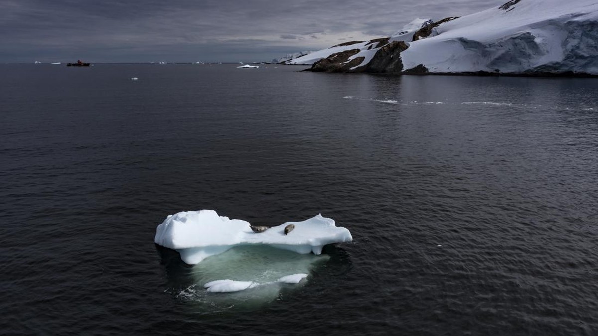Foto: Anadolu Agency via Getty Images/Anadolu Agency