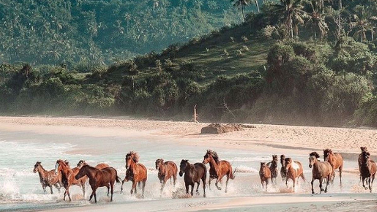 Foto: NIHI SUmba. (Instagram/@NIHI)