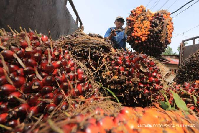 Diversifikasi Pasar Sawit: Strategi Ampuh Indonesia Kurangi Gandengan Ekspor ke Eropa