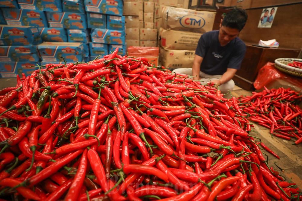 Fluktuasi Harga Pangan: Bawang Merosot, Cabai Rawit Hijau dan Telur Jaga Kenaikan Jelang Akhir Juli