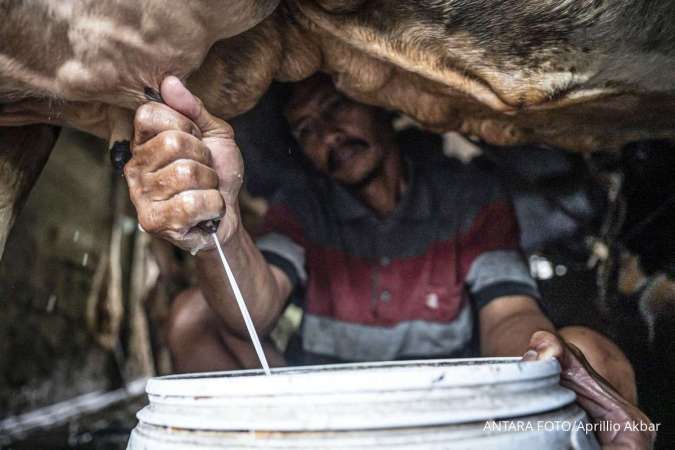 Asosiasi Pengusaha Susu Ungkap Alasan Tolak Imbauan Hentikan Susu Merek di Program Makan Bergizi